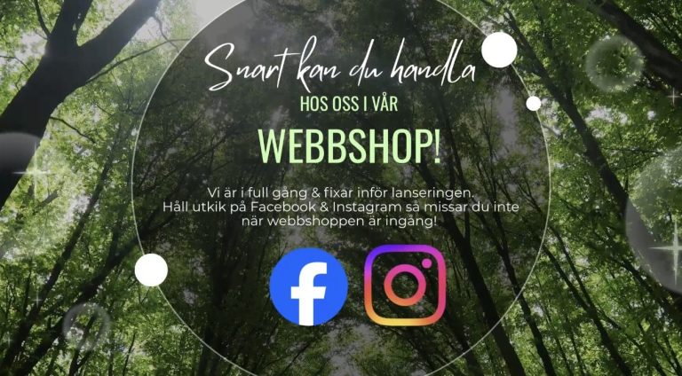 Foto von Unsplash von: - Gabriel Tenan